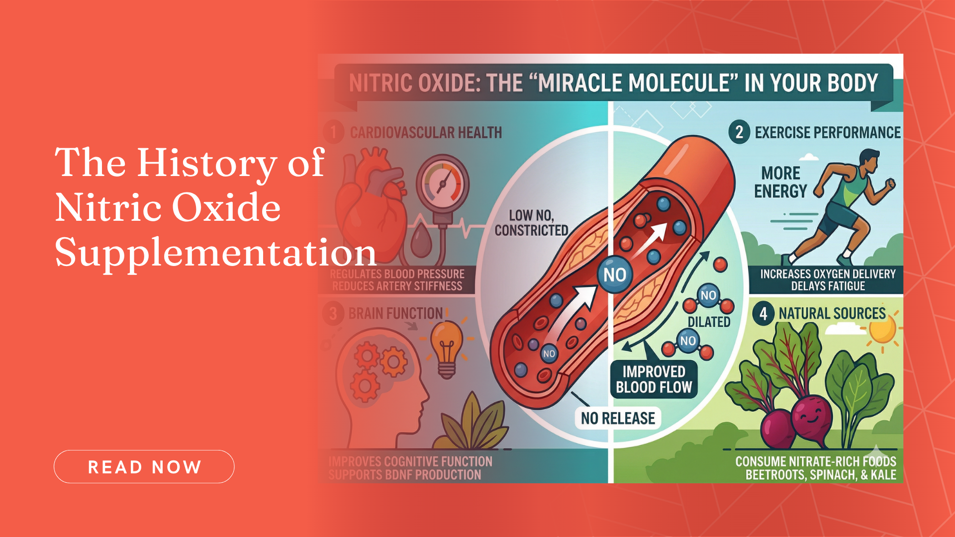 The History of Nitric Oxide Supplementation