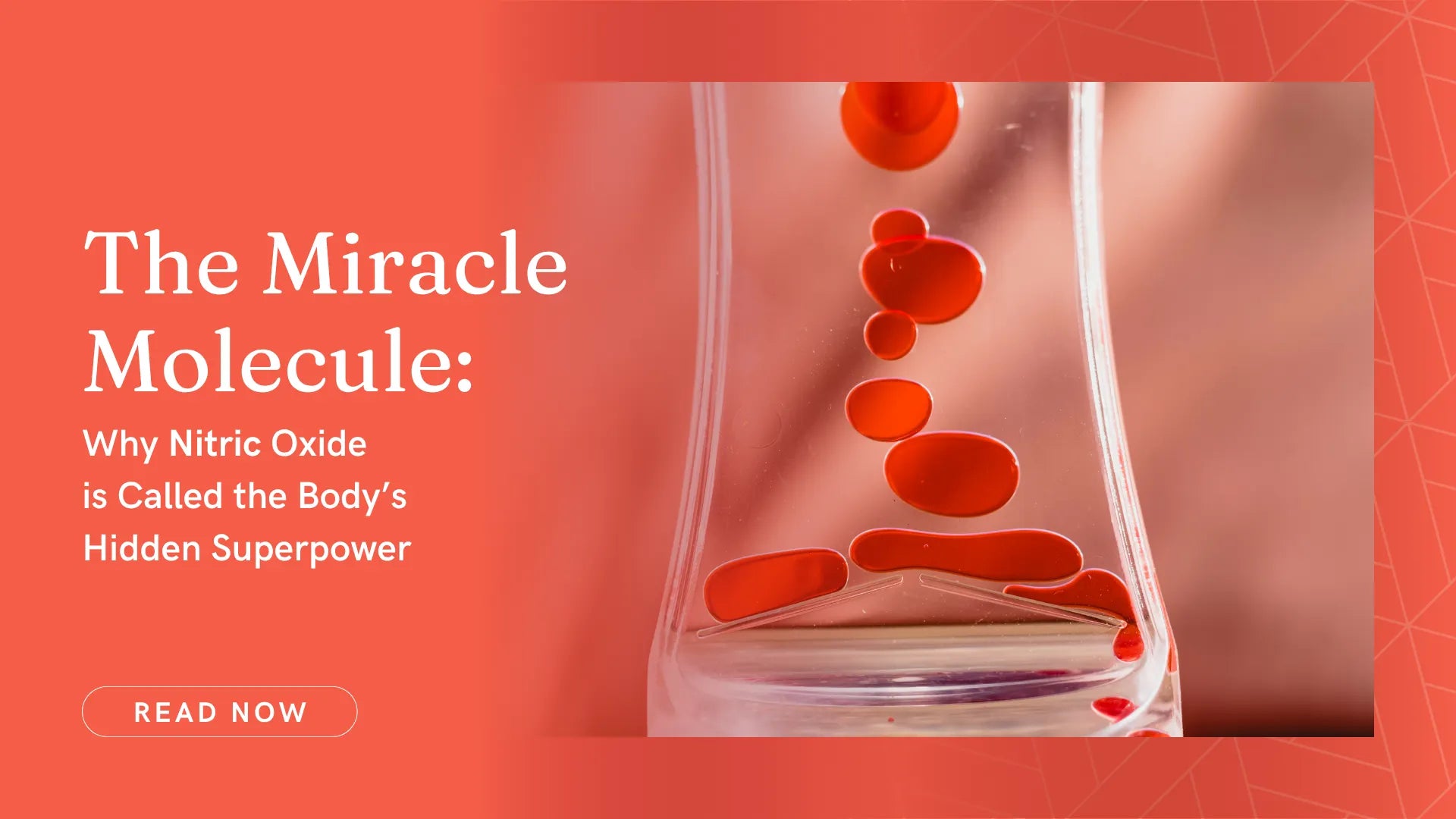 The Miracle Molecule: Why Nitric Oxide is Called the Body’s Hidden Superpower