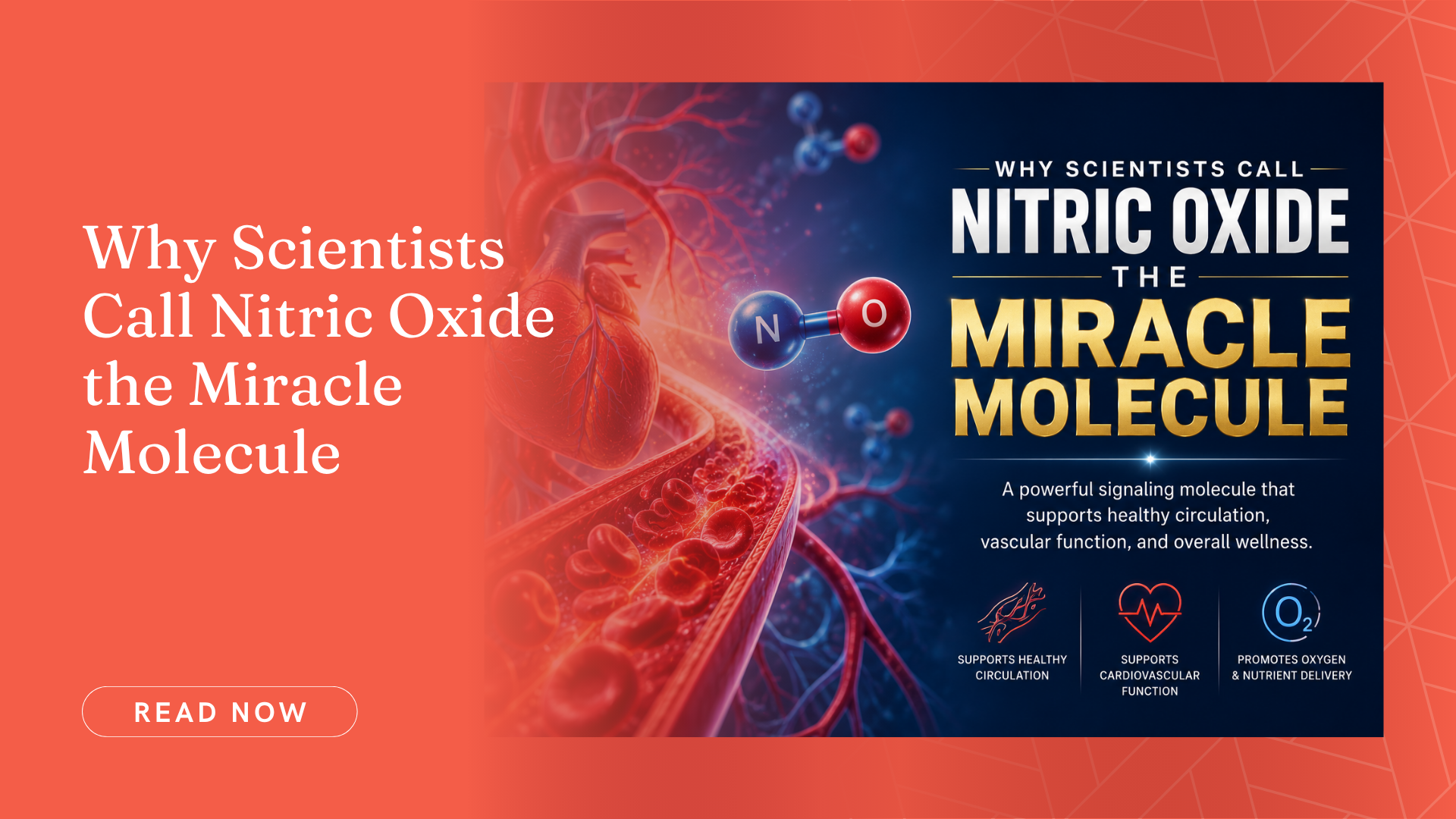 Why Scientists Call Nitric Oxide the Miracle Molecule